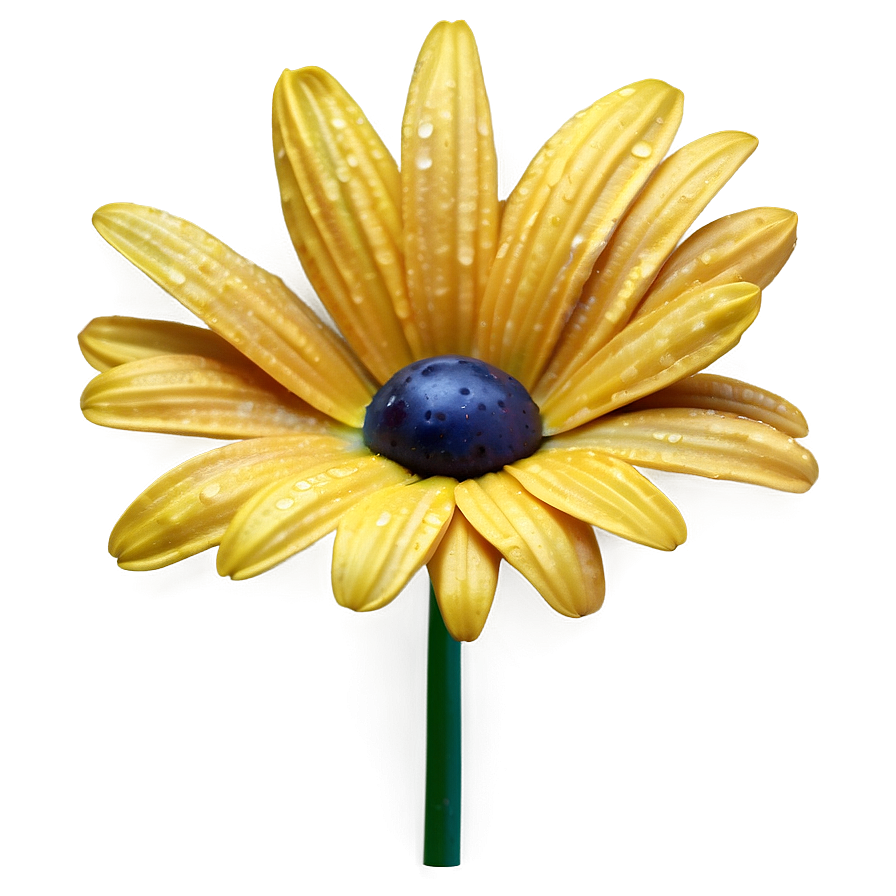 Realistic Yellow Daisy Png Pev26