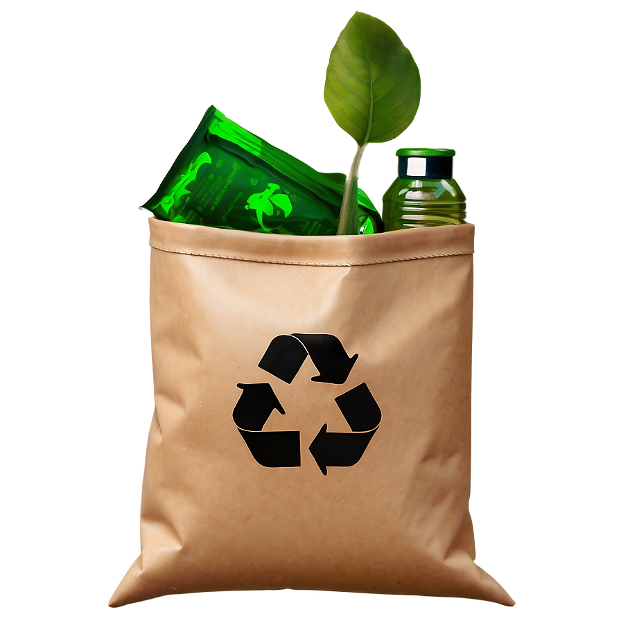 Recycle Bag Icon Png 06252024