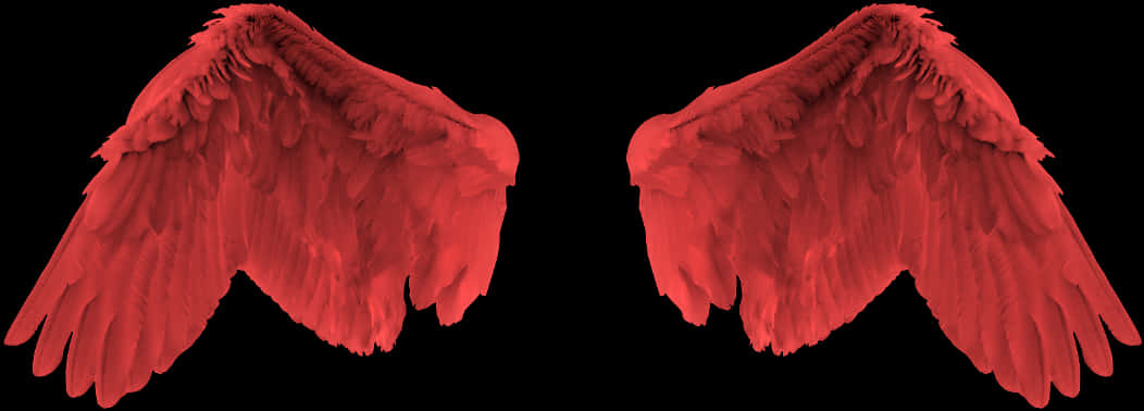 Red Angel Wings Graphic