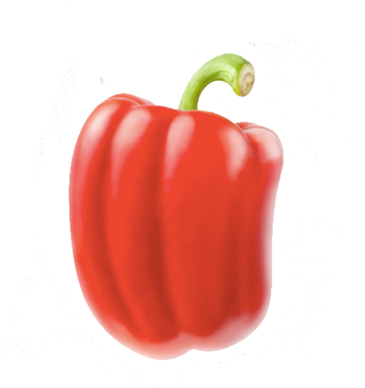 Red Bell Pepper Splash Background