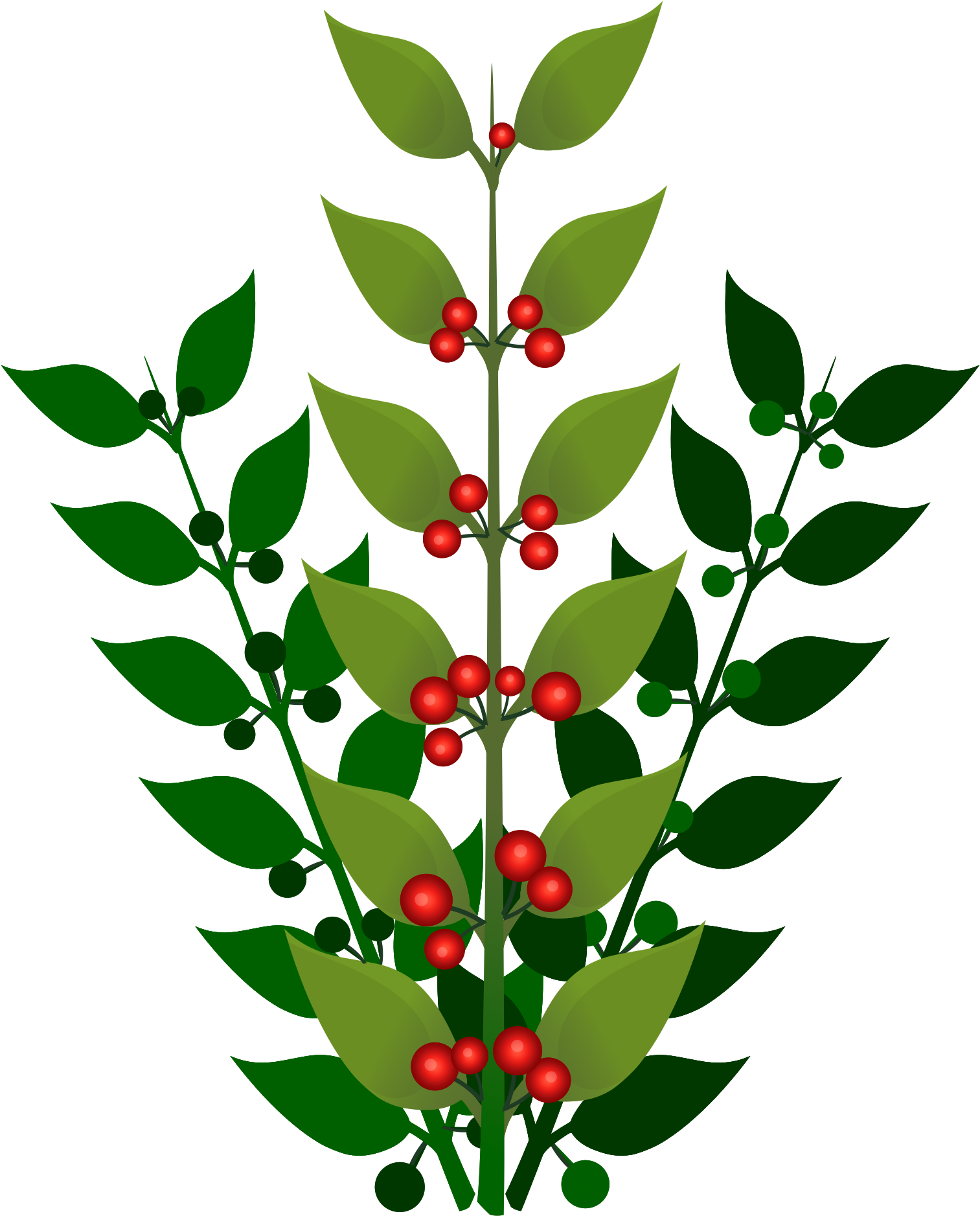 Red Berries Green Leaves Illustration