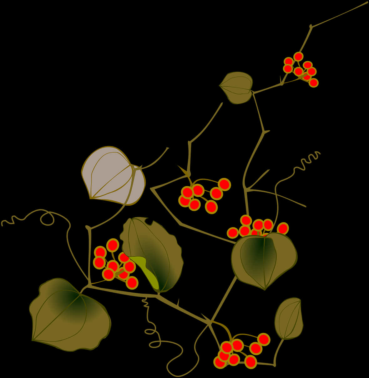 Red Berries Nighttime Vine Illustration PNG image with a transparent background, free high-resolution download