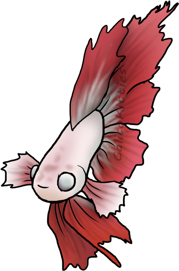 Red Betta Fish Illustration