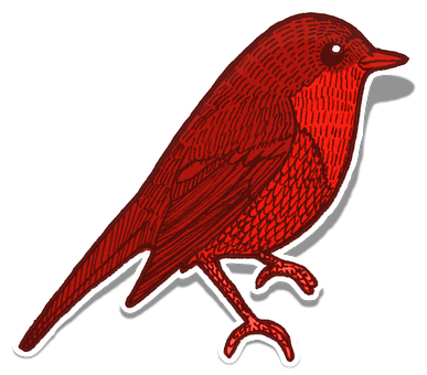 Red Bird Illustration