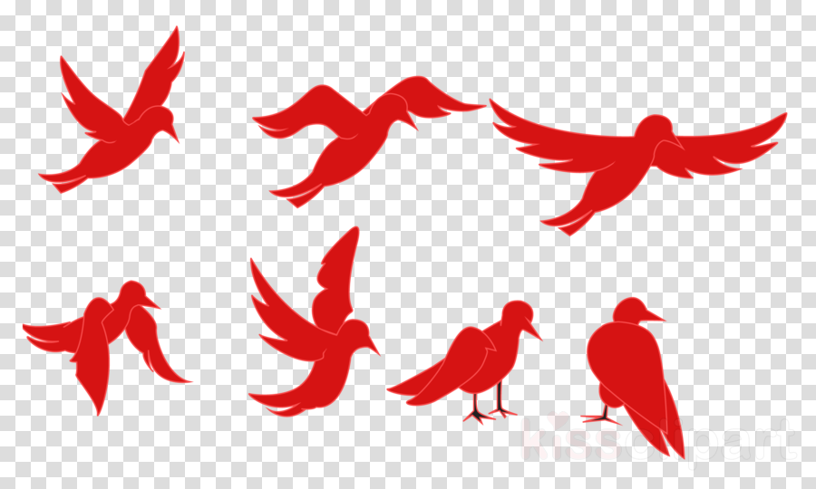 Bird Animation Clipart Tweety Bird Animated Film - Animated And Transparent Images Of Birds PNG with transparent background