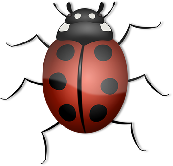 Red Black Ladybug Illustration PNG with transparent background