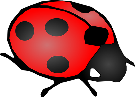 Red Black Ladybug Illustration PNG with transparent background