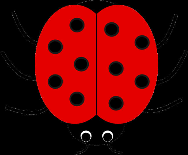 Red Black Ladybug Illustration