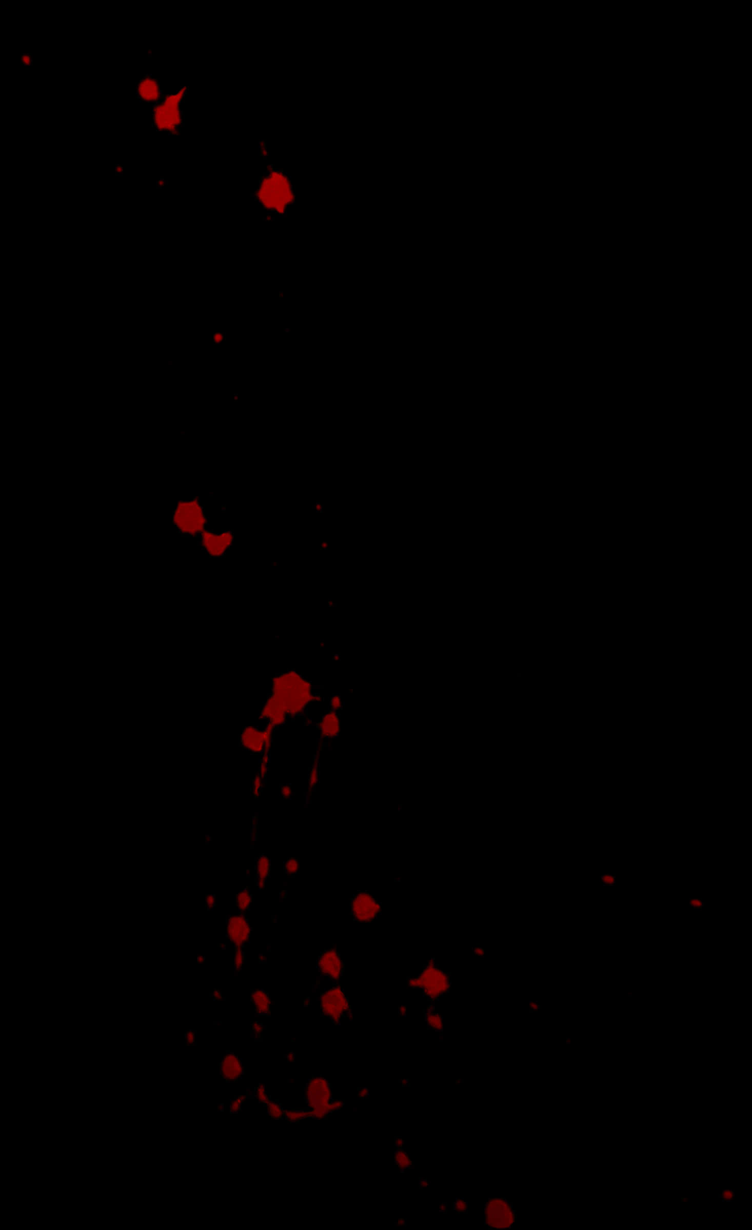 Red Blood Splatteron Black Background PNG with transparent background
