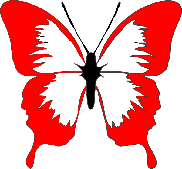 Transparent Asterisk Clipart - Butterfly Cartoon Black And White, HD Png Download PNG with transparent background