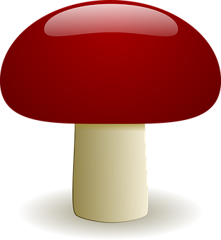 Red Cap Mushroom Graphic PNG with transparent background