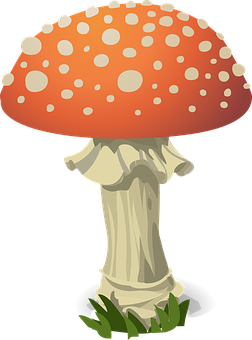 Red Capped Mushroom Cartoon PNG with transparent background