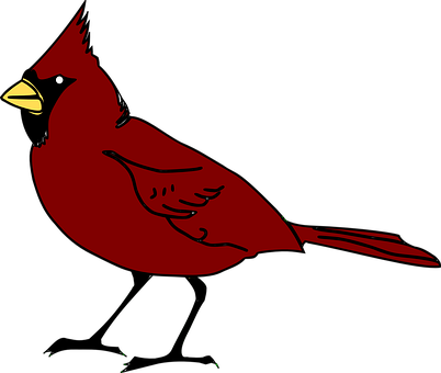 Red Cardinal Bird Illustration PNG with transparent background