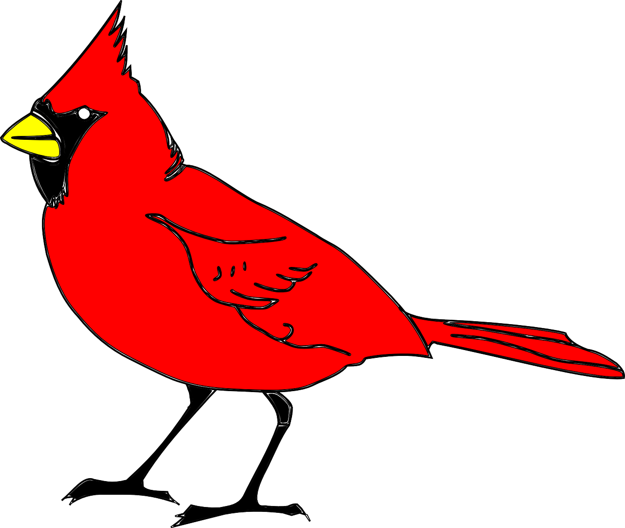 Red Cardinal Bird Illustration