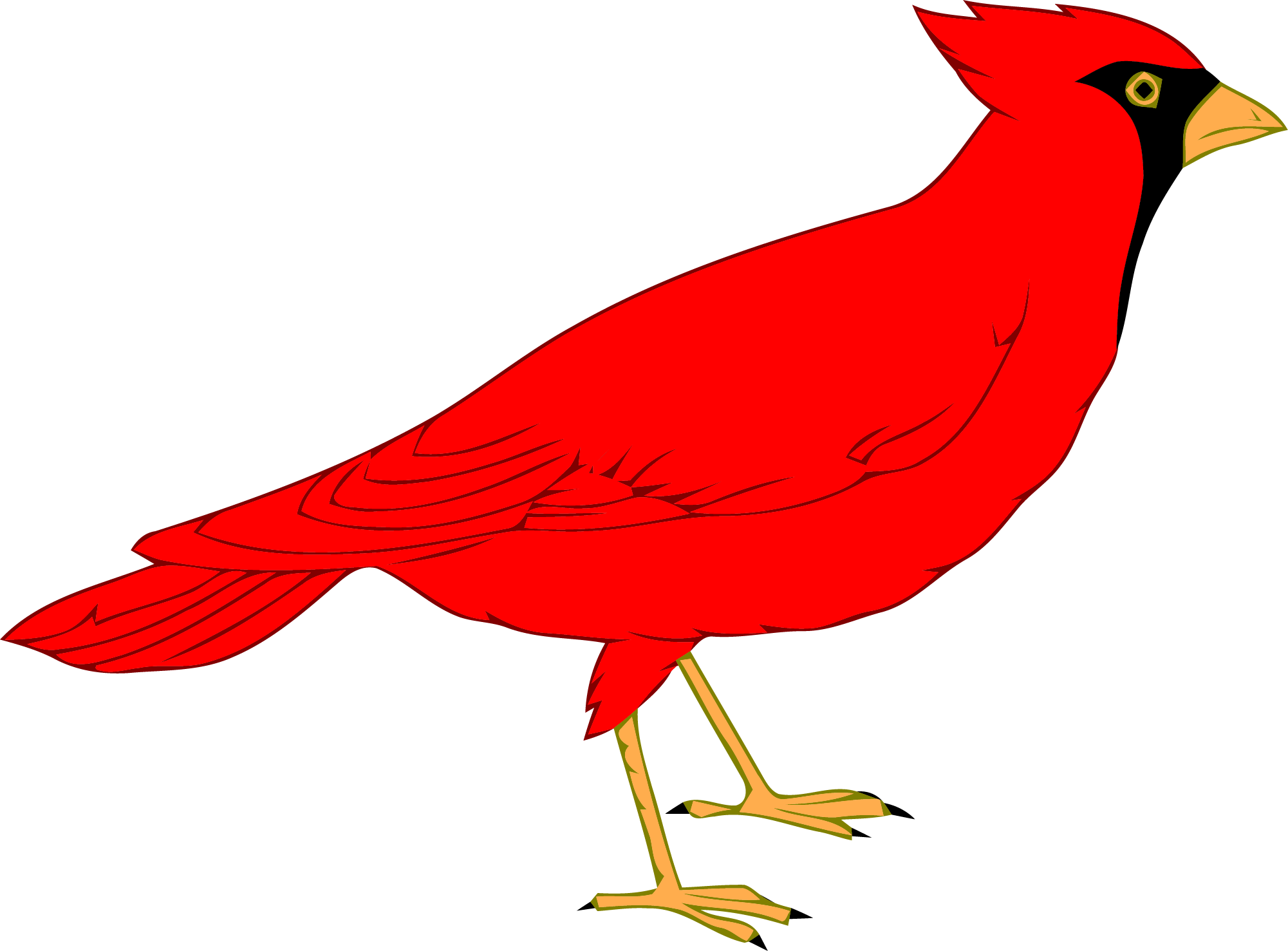 Red Cardinal Bird Illustration