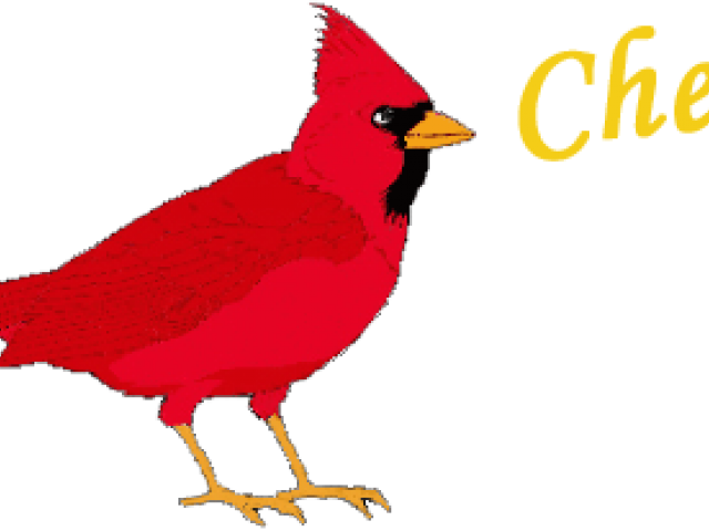 Red Cardinal Bird Illustration