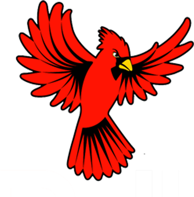 Cardinal Wings Open Clipart - Cardinal Bird Open Wings, HD Png Download PNG with transparent background