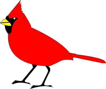 Red Cardinal Bird Vector PNG with transparent background