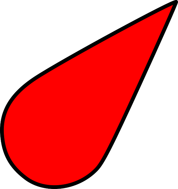 Red Compass Arrow