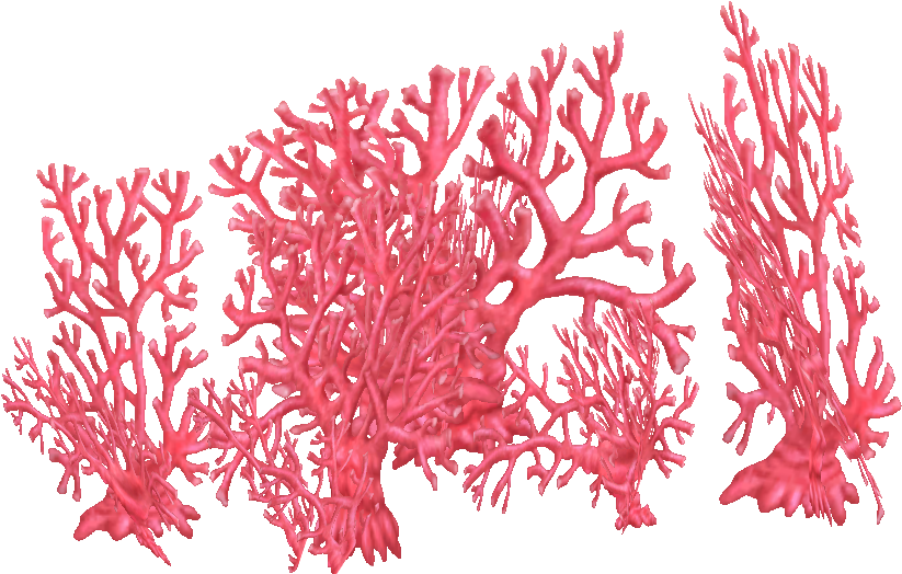 Fire Coral Png, Transparent Png PNG with transparent background