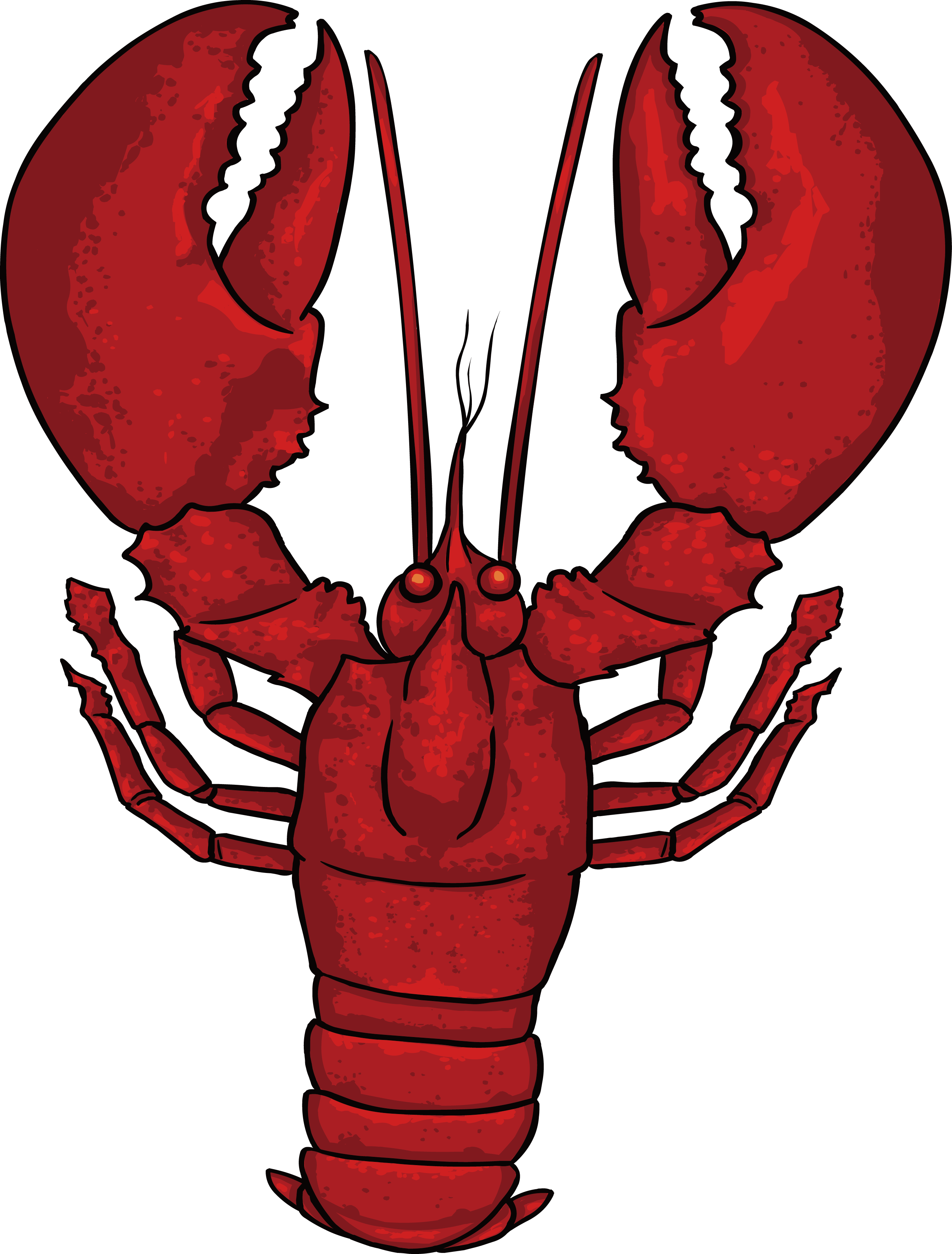 Red Crayfish Illustration