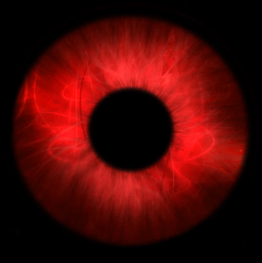 Clipart Library Eyeball Clipart Bloodshot Eye - Circle PNG image with a transparent background, free high-resolution download