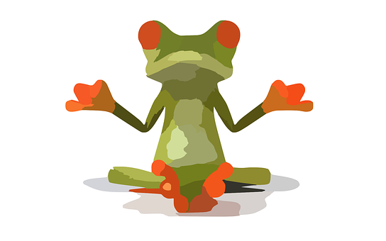 Red Eyed Tree Frog Illustration PNG with transparent background