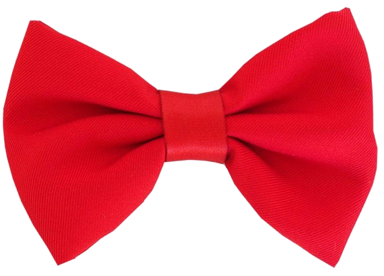 Red Fabric Bow Tie Isolated