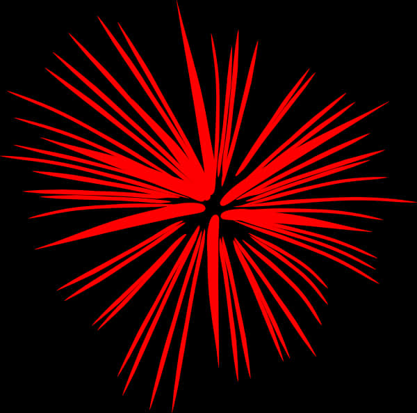 Red Firework Burst Black Background