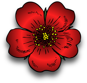 Red Flower Illustration PNG with transparent background