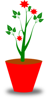 Red Flower Potted Plant Graphic