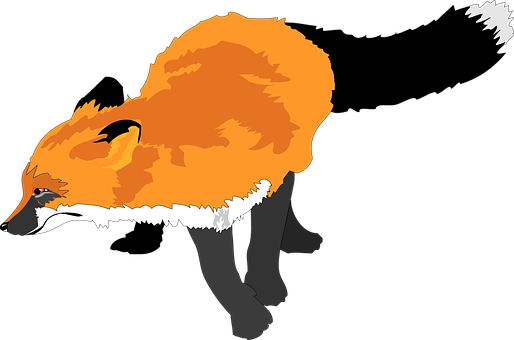 Red Fox Illustration PNG with transparent background