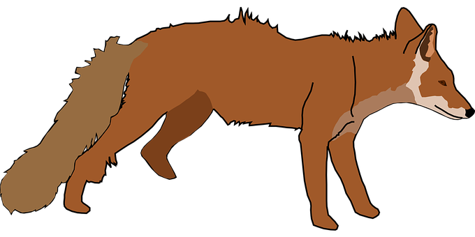 Red Fox Silhouette PNG with transparent background