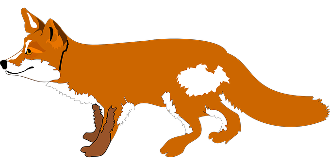 Red Fox Vector Illustration PNG with transparent background