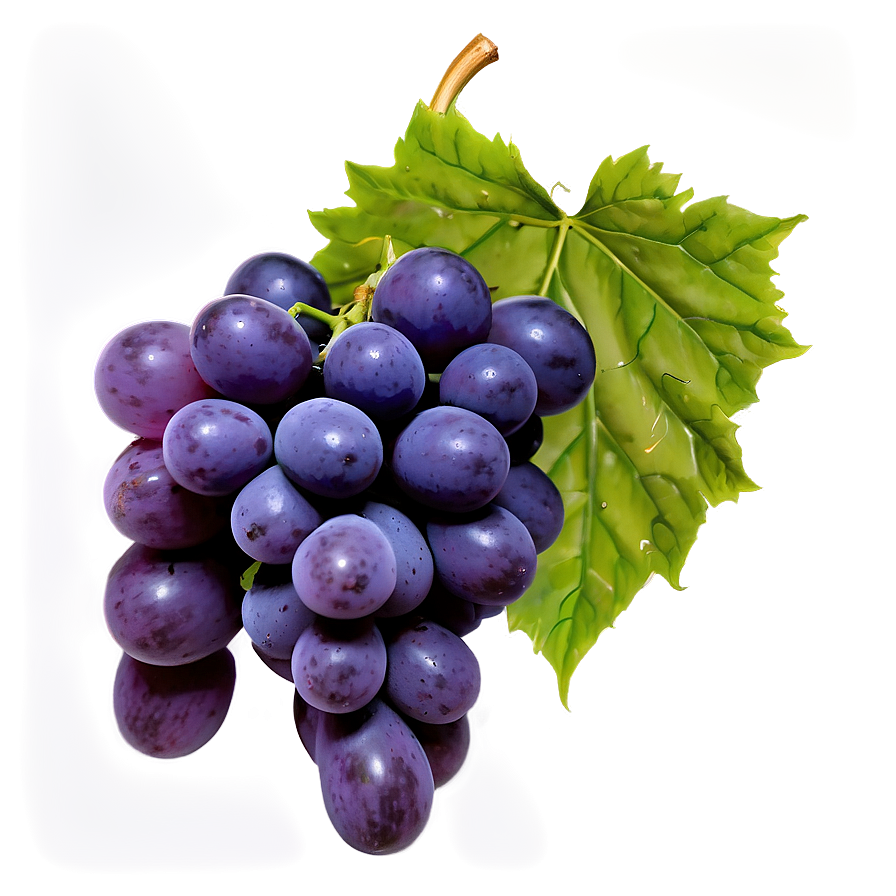 Red Globe Grape Png Dck