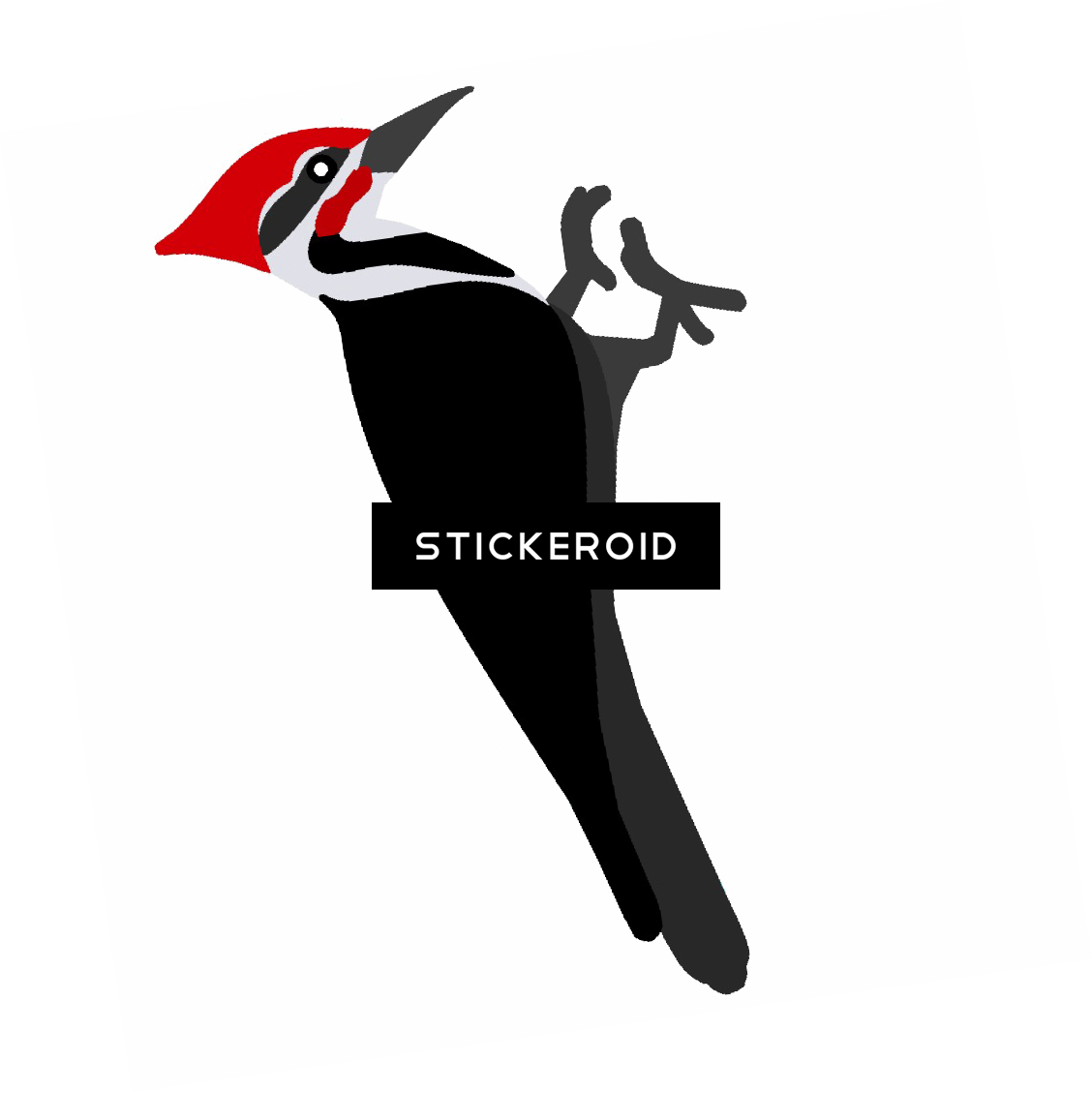 Red Headed Woodpecker Illustration.png