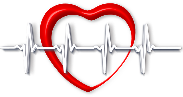 Red Heart Electrocardiogram Pulse