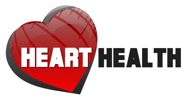 Red Heart Health Concept