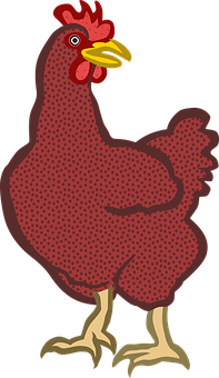 Red Hen Illustration