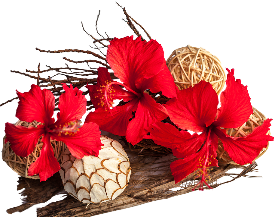 Red Hibiscus Flowers Arrangement