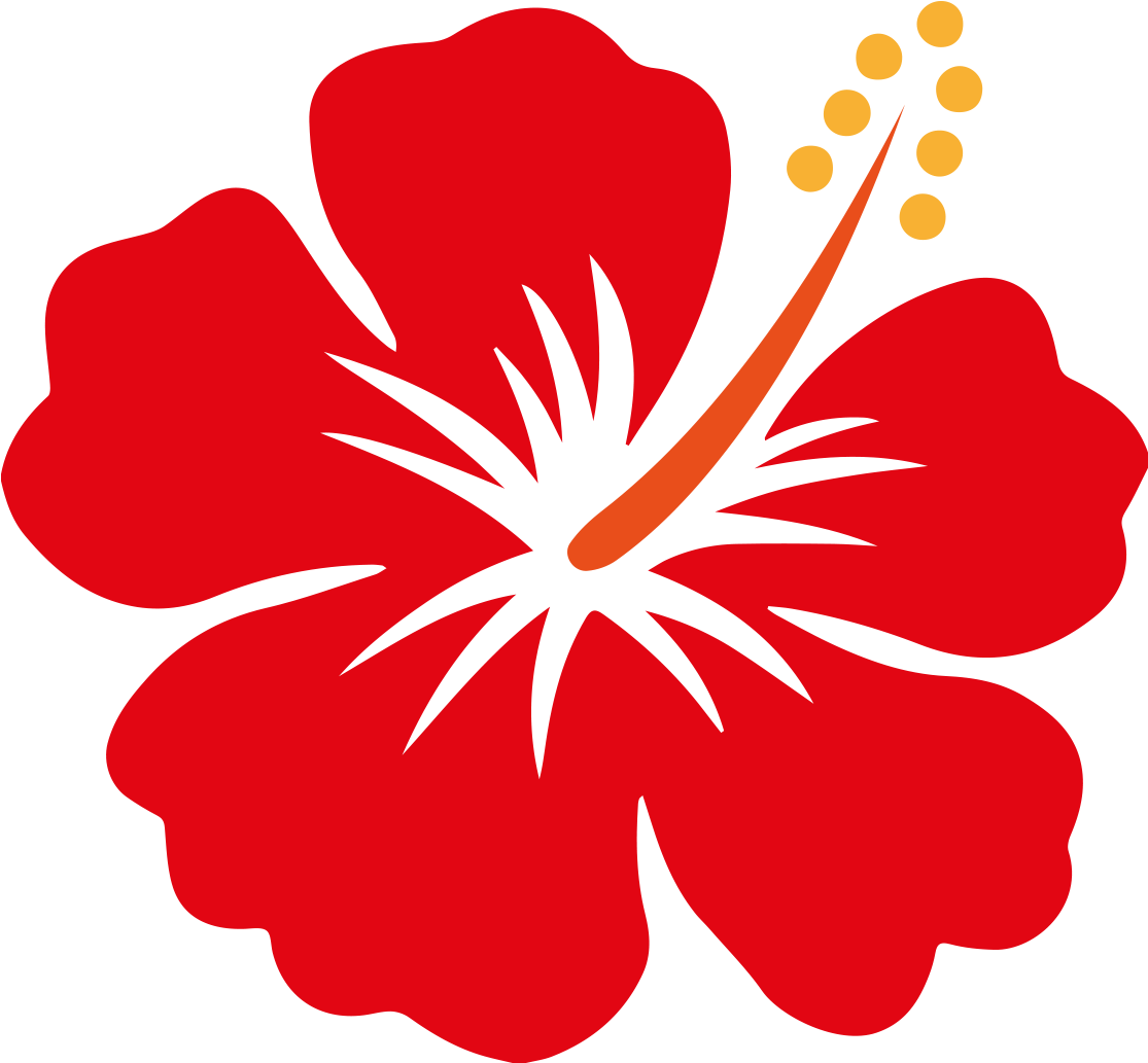 Red Hibiscus Vector Illustration PNG with transparent background