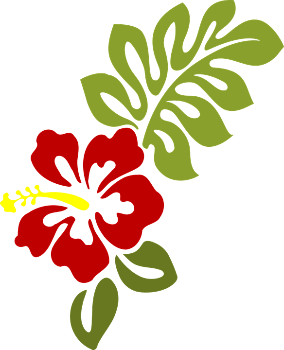 Red Hibiscus Vector Illustration PNG with transparent background