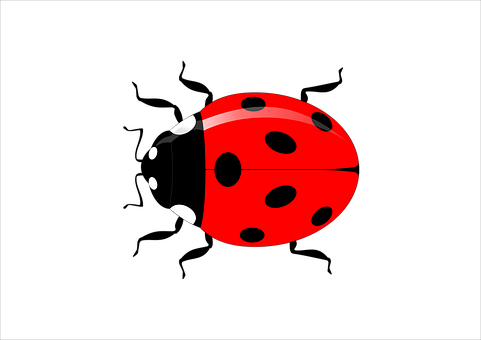 Red Ladybug Graphicon Black Background PNG with transparent background