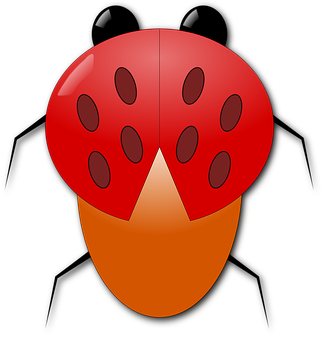 Red Ladybug Illustration PNG with transparent background