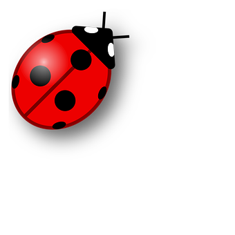 Red Ladybug Illustration PNG with transparent background
