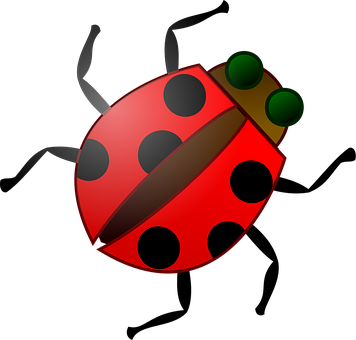 Red Ladybug Illustration PNG with transparent background