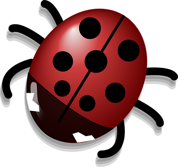 Red Ladybug Illustration PNG with transparent background