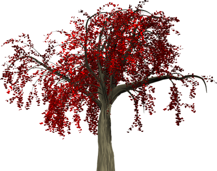 Red Leaved Treeon Black Background.jpg