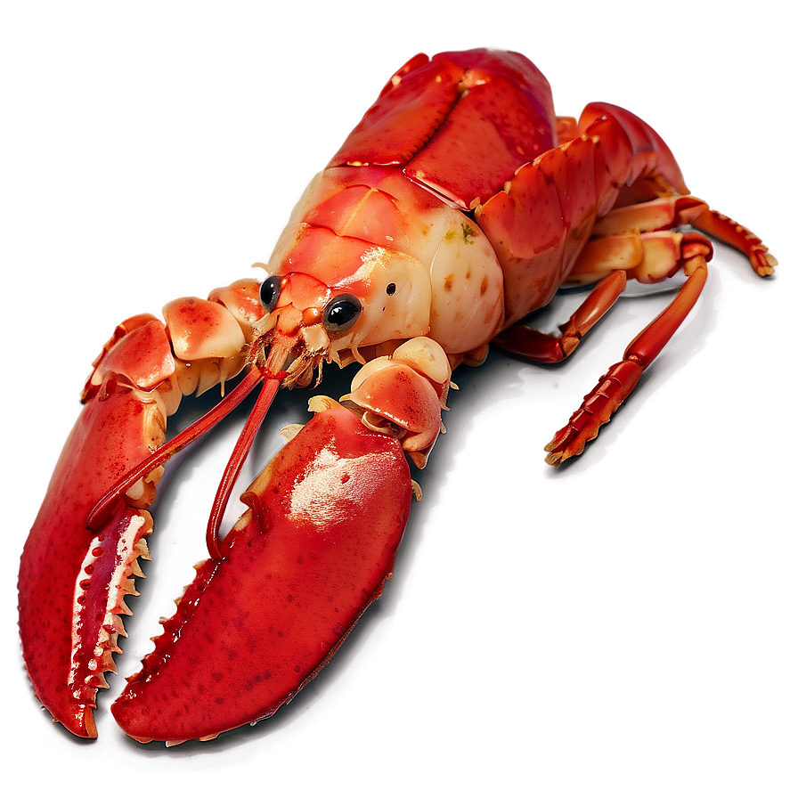 Red Lobster Culinary Png Jnw