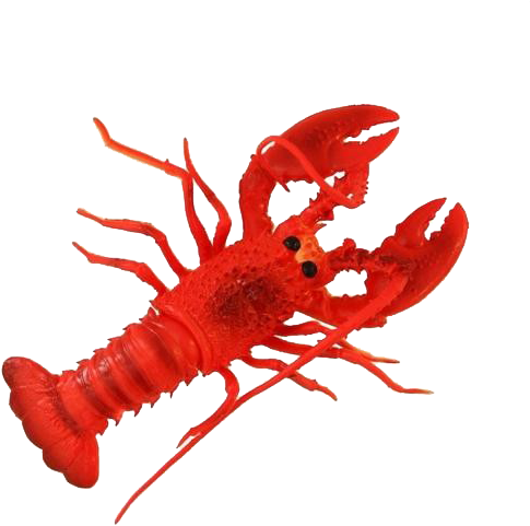 Red Lobster Illustration